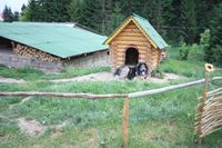 UA Wachhund