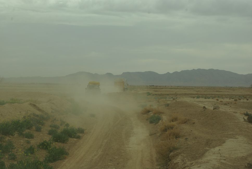 tu dd 2013 0095